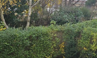 Photo N° 4