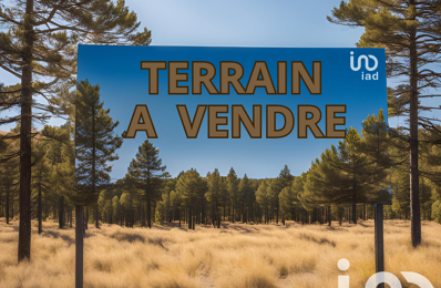 vente terrain 165 000 € à proximité de Parentis-en-Born (40160)