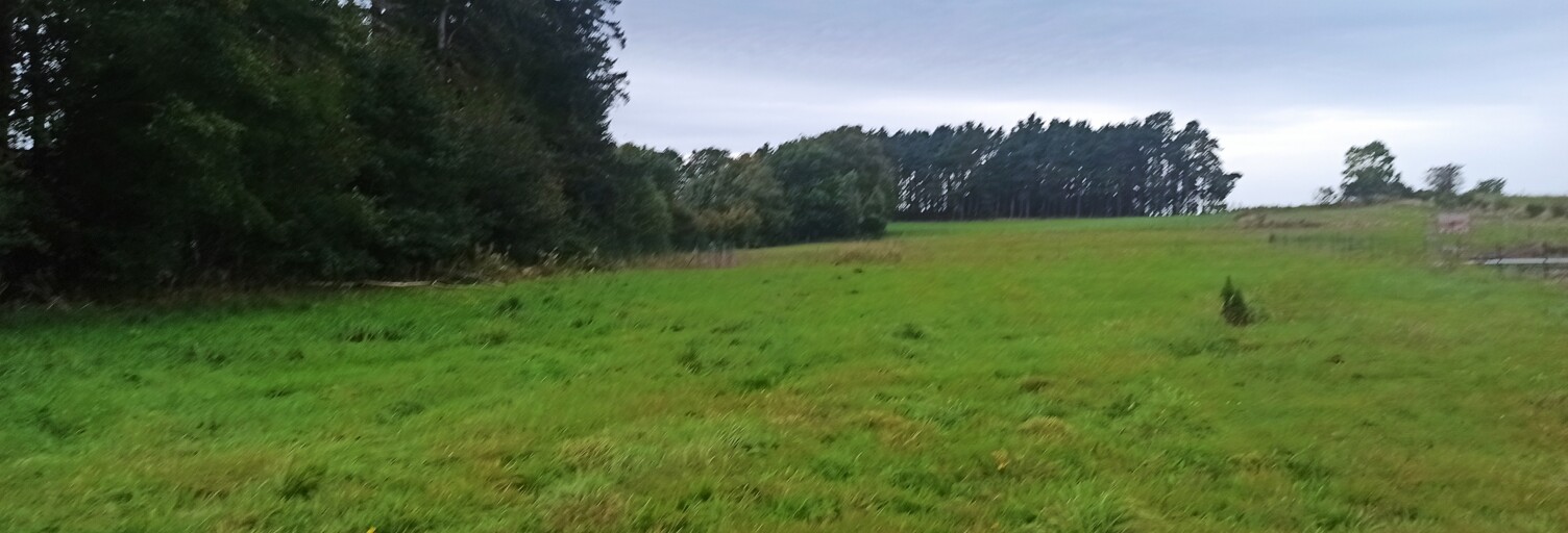 Terrain  1750 m² à vendre à Raucoules (43290)