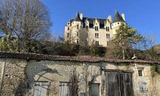 Maison 1 Pièce 50 m² à vendre à Neuvicq-le-Château (17490)