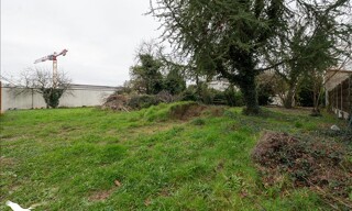 Photo N° 4