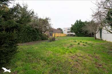 Terrain  223650 €