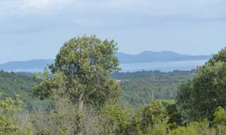 Terrain  18269 m² à vendre à La Londe-les-Maures (83250)