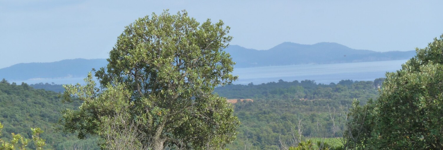 Terrain  18269 m² à vendre à La Londe-les-Maures (83250)