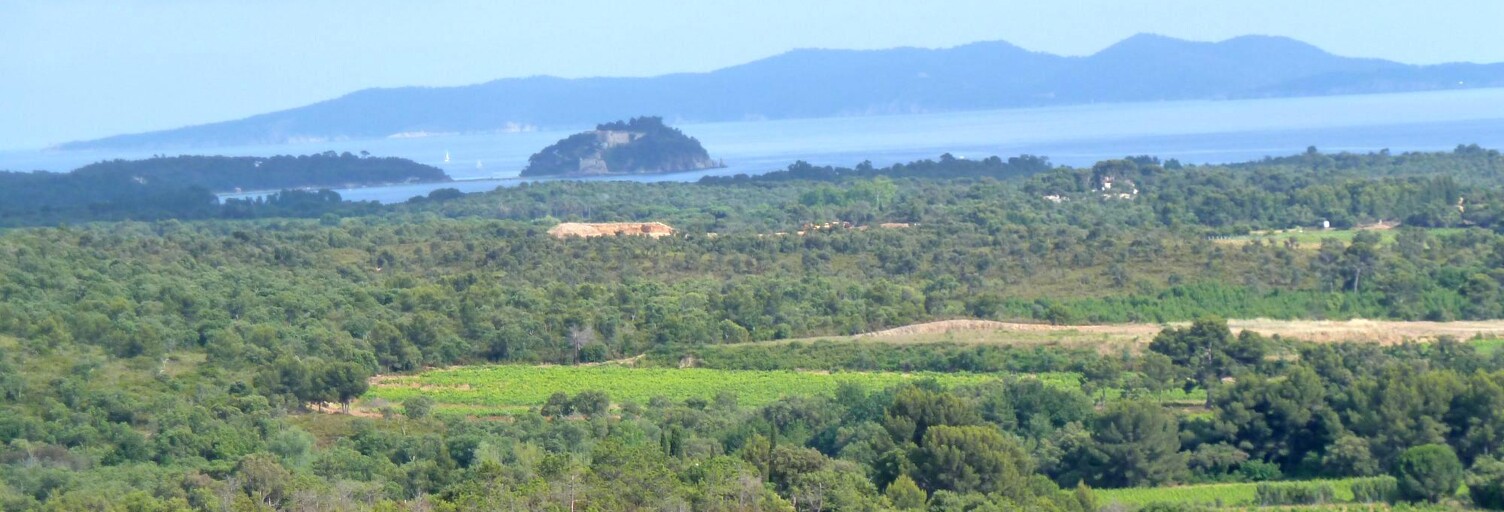 Terrain  18269 m² à vendre à La Londe-les-Maures (83250)