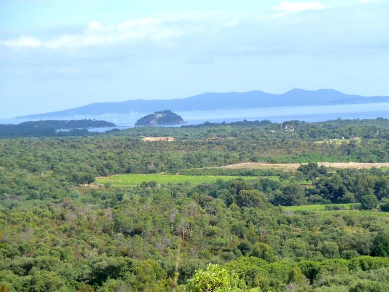LA LONDE LES MAURES TERRAIN 18200 m² ZONE NATURELLE BOISEE — photo 1