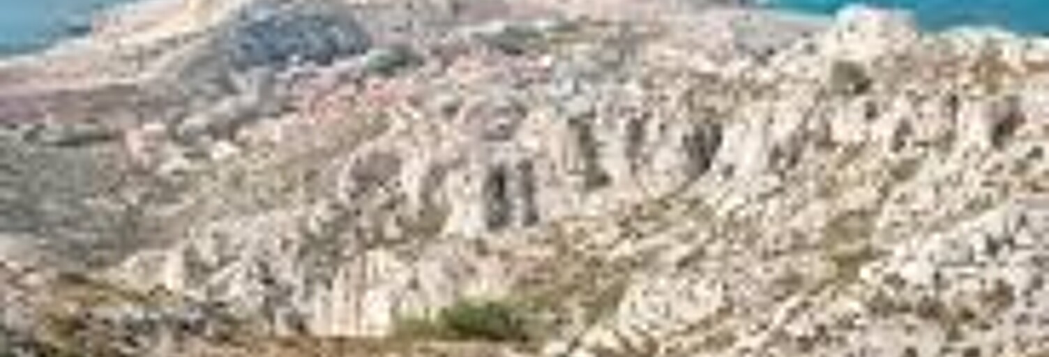 Commerce   m² à vendre à Marseille 8 (13008)