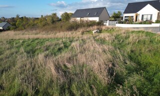 Photo N° 5