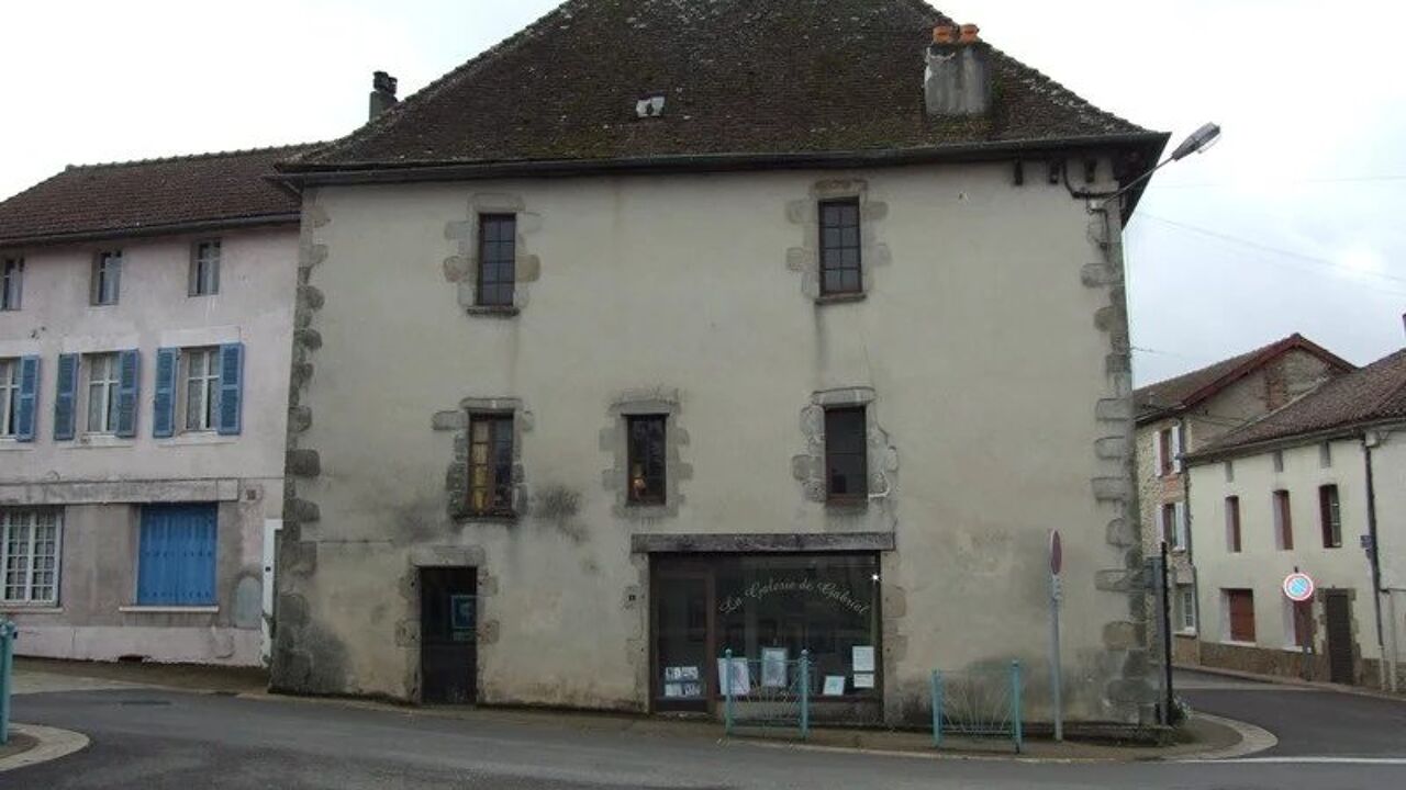 maison 12 pièces 400 m2 à vendre à Oradour-sur-Vayres (87150)