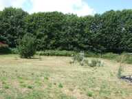 Pavillon avec beau terrain — photo 2