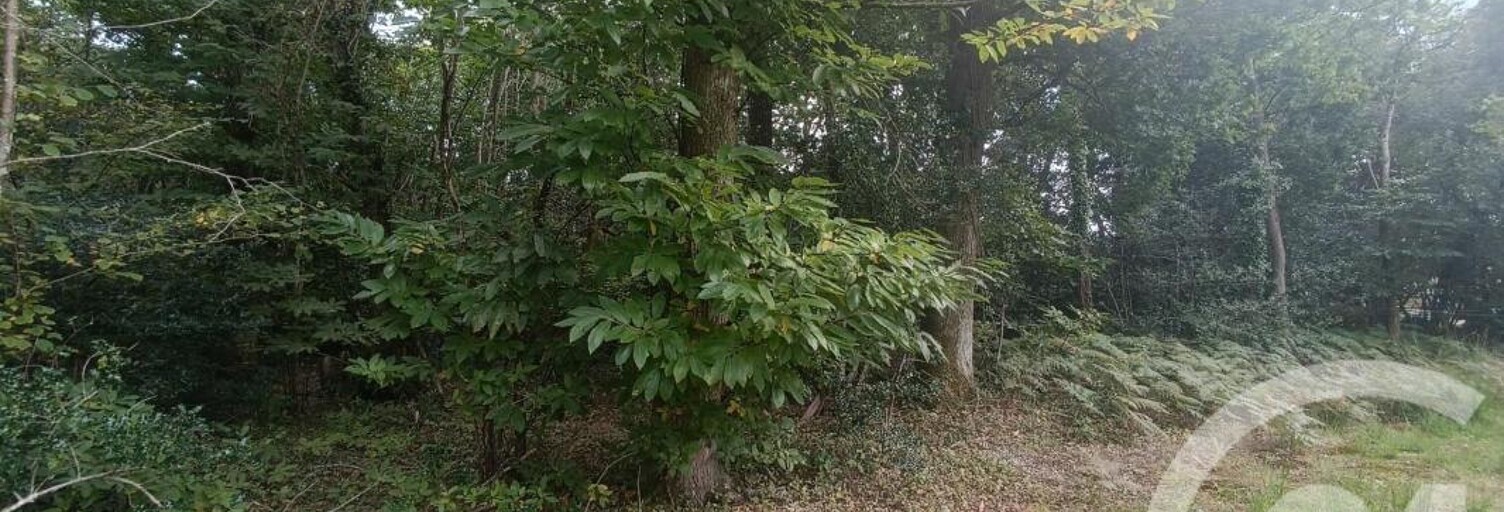 Terrain  3069 m² à vendre à Grayan-et-l'Hôpital (33590)