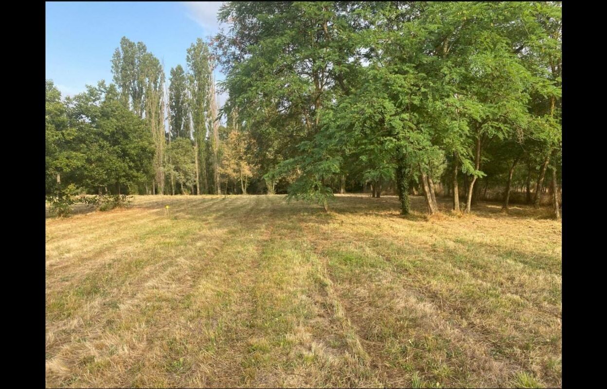 terrain  pièces 3862 m2 à vendre à Toulouse (31300)