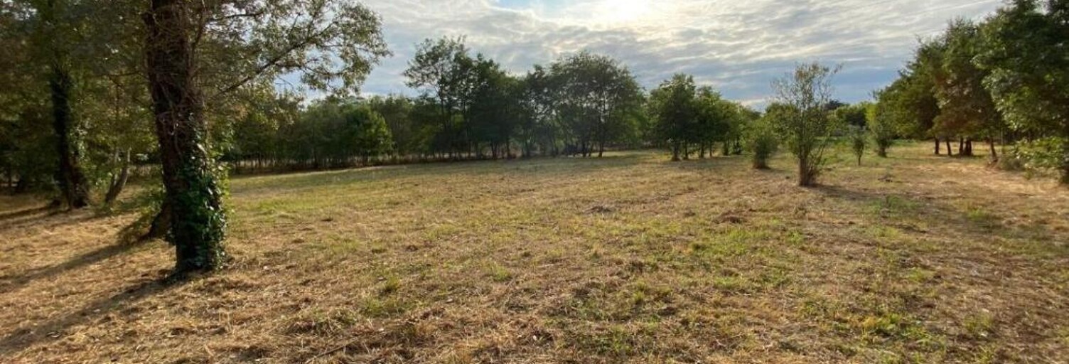 Terrain  3862 m² à vendre à Toulouse (31300)