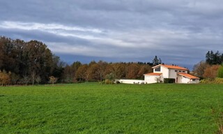 Photo N° 2