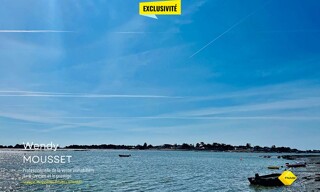 Photo N° 6