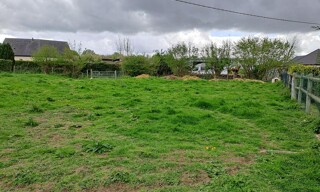 Photo N° 4
