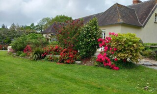 Photo N° 4
