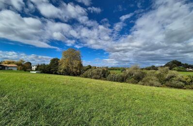 terrain  pièces 3981 m2 à vendre à Urcuit (64990)