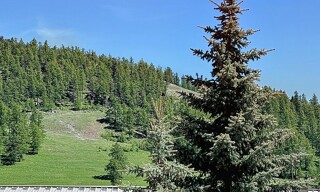 Photo N° 2