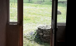 Photo N° 5