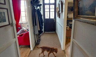 Photo N° 4