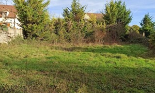 Photo N° 6