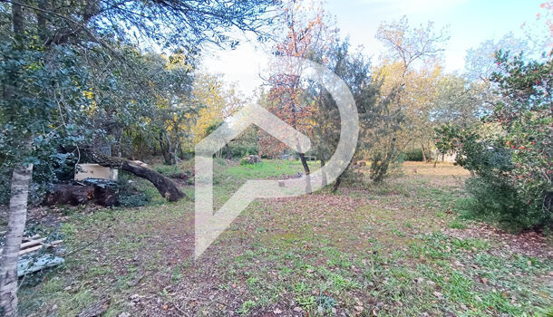 Terrain  à vendre Cannet-des-Maures (Le) 83340