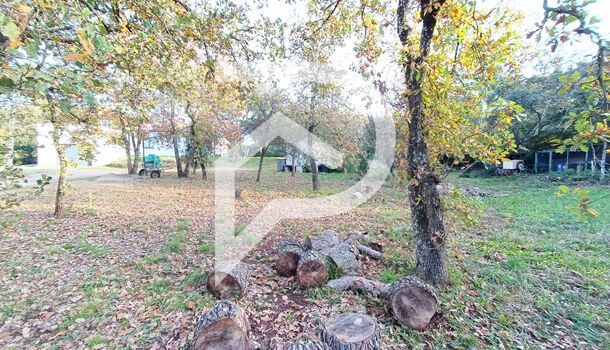 Terrain  à vendre Cannet-des-Maures (Le) 83340