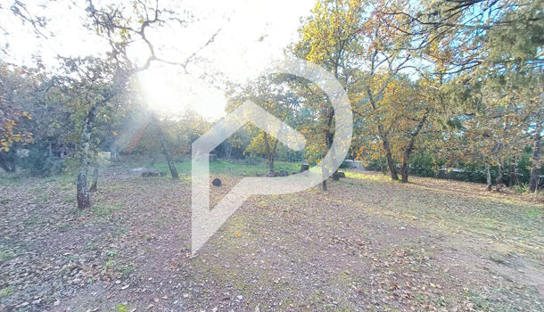 Terrain  à vendre Cannet-des-Maures (Le) 83340