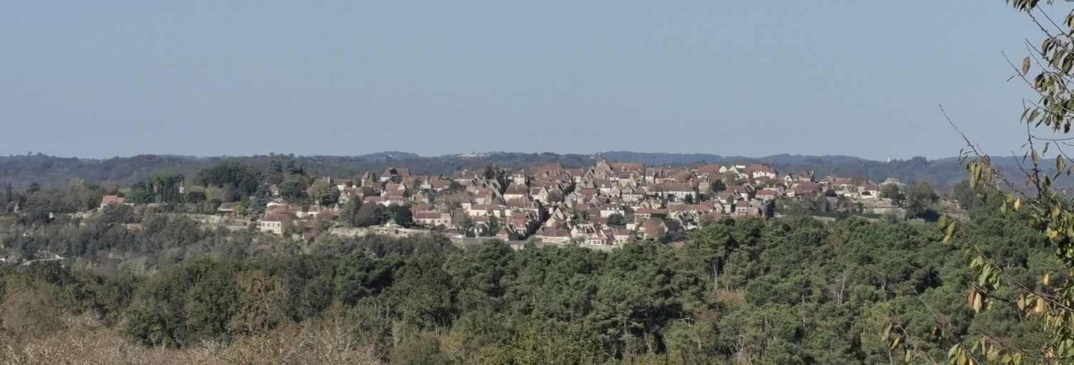 Terrain  5478 m² à vendre à Domme (24250)