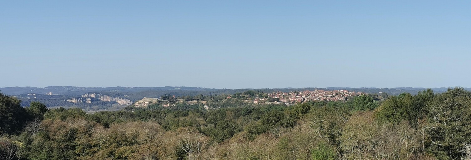 Terrain  5965 m² à vendre à Domme (24250)