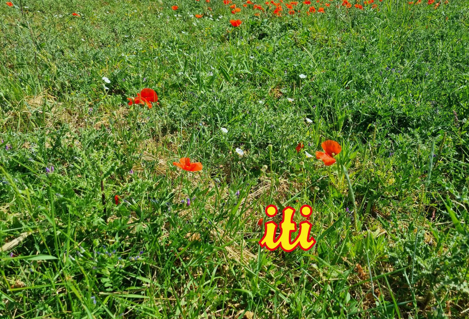 Terrain à bâtir — photo 1