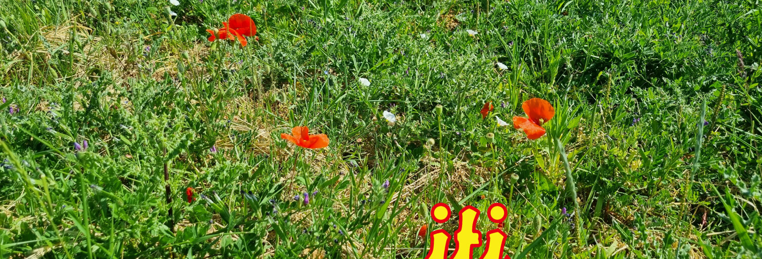 Terrain  435 m² à vendre à Grosbreuil (85440)