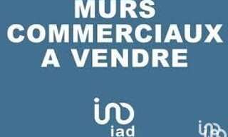 Commerce  734 m² à vendre à Émerainville (77184)