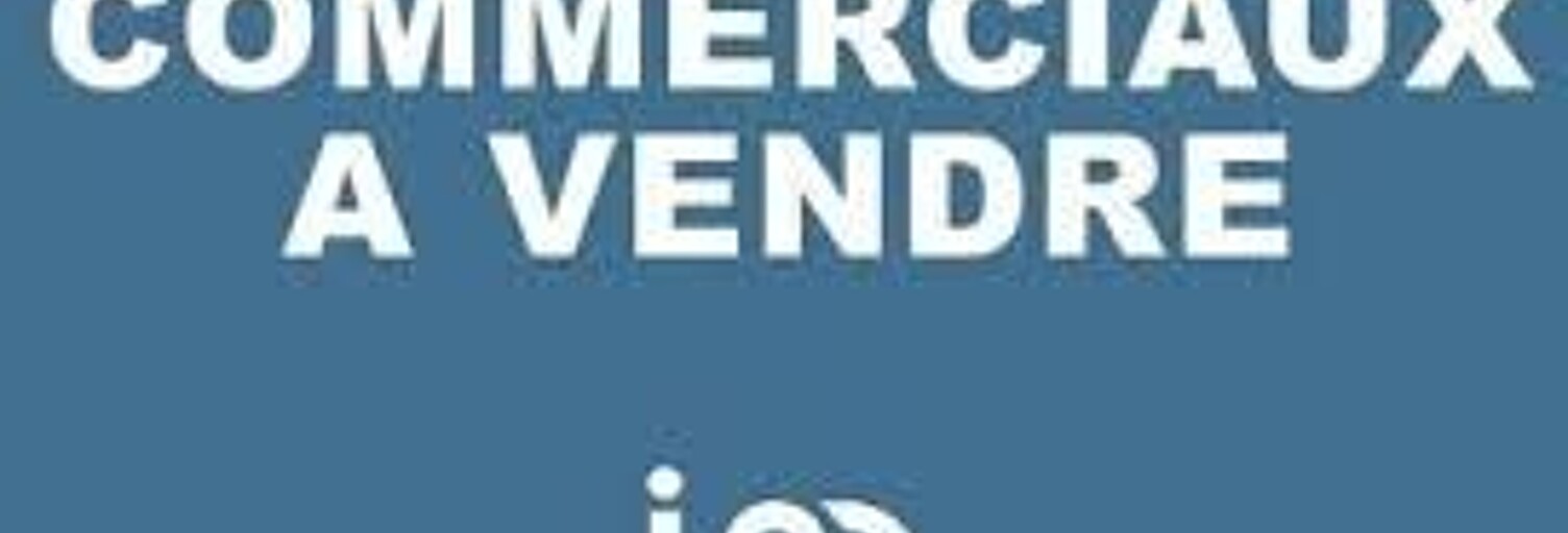 Commerce  734 m² à vendre à Émerainville (77184)