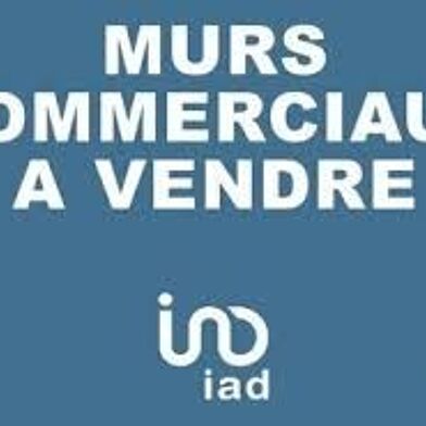 Commerce  1050000 €