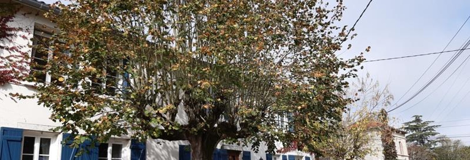 Maison 6 Pièces 208 m² à vendre à Vianne (47230)