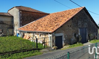 Photo N° 3