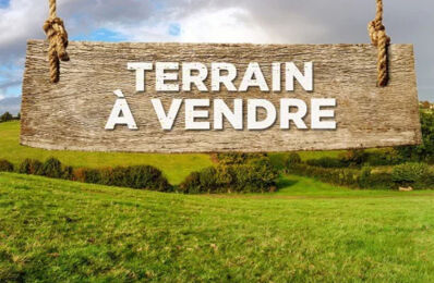 vente terrain 132 000 € à proximité de La Chevallerais (44810)