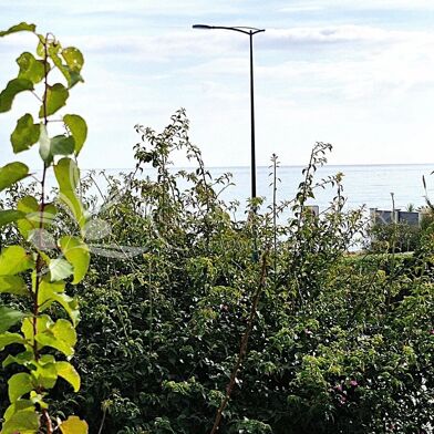 Appartement 2 pièces 320000 €