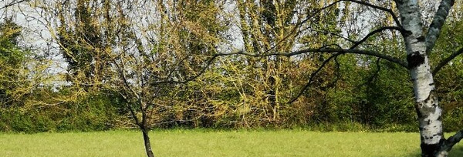 Terrain  794 m² à vendre à Saint-Pierre-d'Amilly (17700)