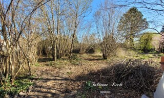Photo N° 5