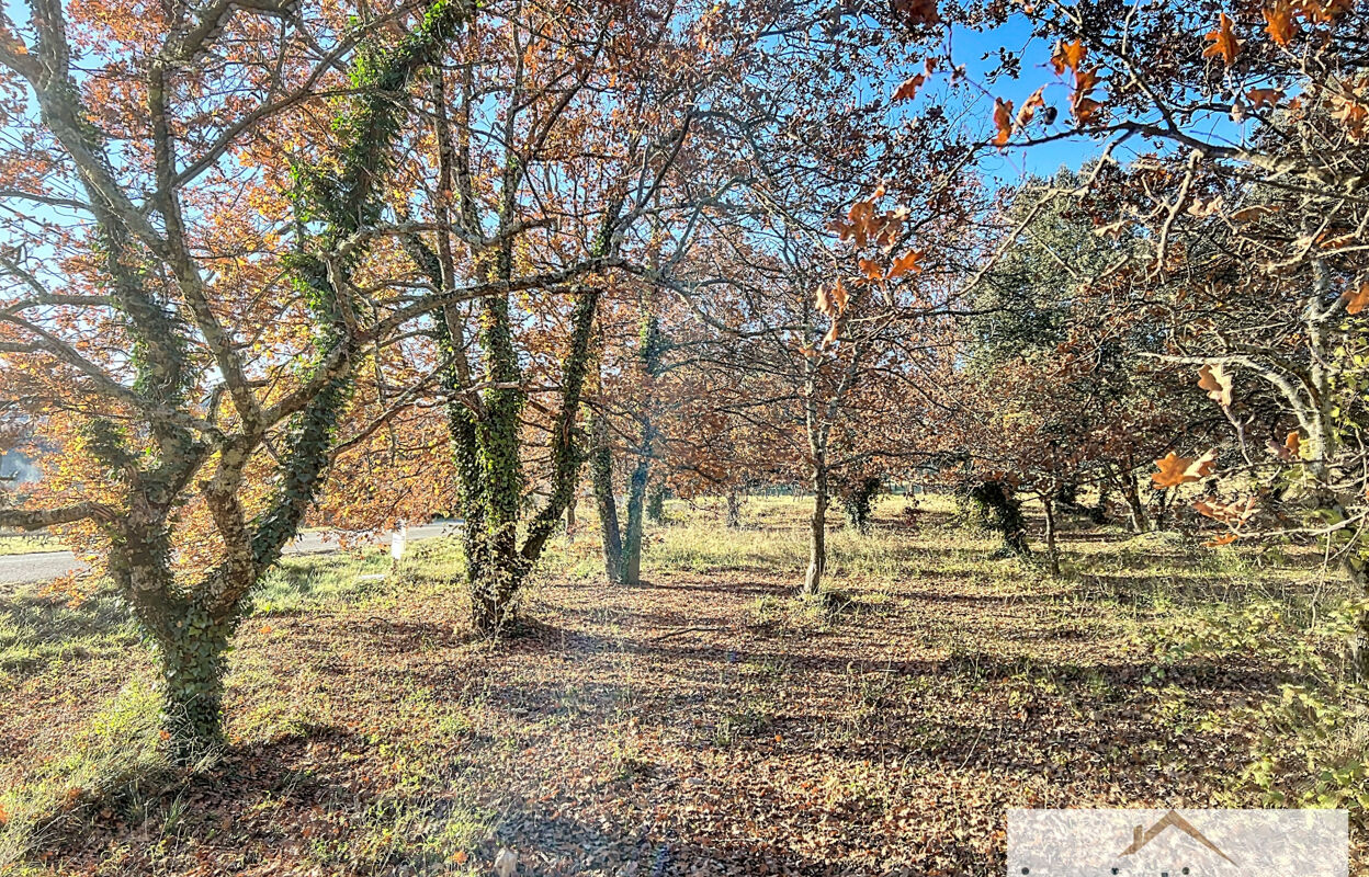 terrain  pièces 1335 m2 à vendre à Entrechaux (84340)