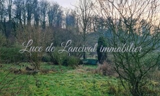 Photo N° 4