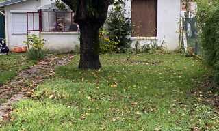 Photo N° 4