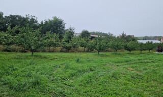 Photo N° 3
