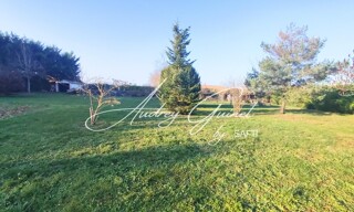 Photo N° 14