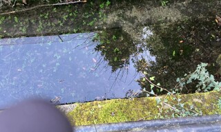Photo N° 3