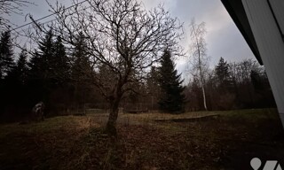 Photo N° 9