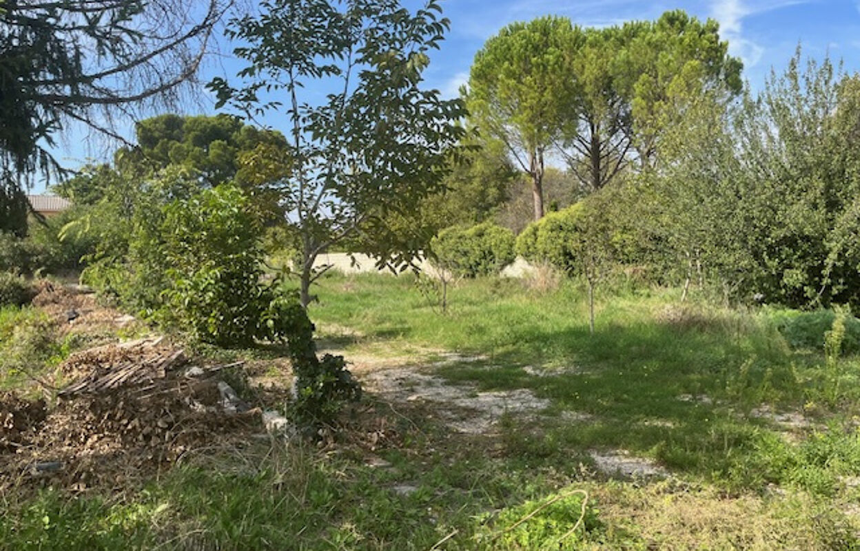 terrain  pièces 658 m2 à vendre à Carpentras (84200)